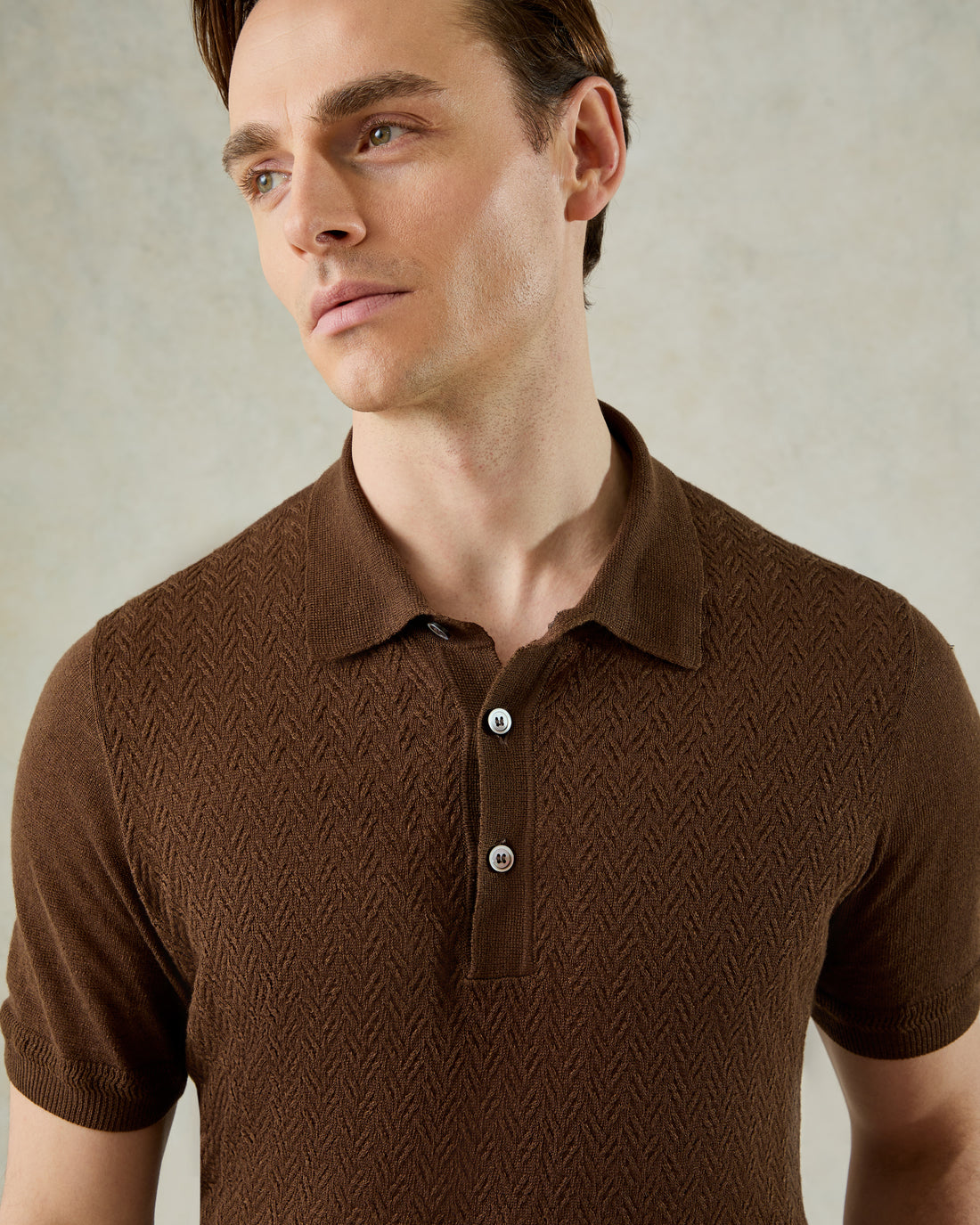 Nelson Crosshatch Short Sleeve Textured Polo Brown